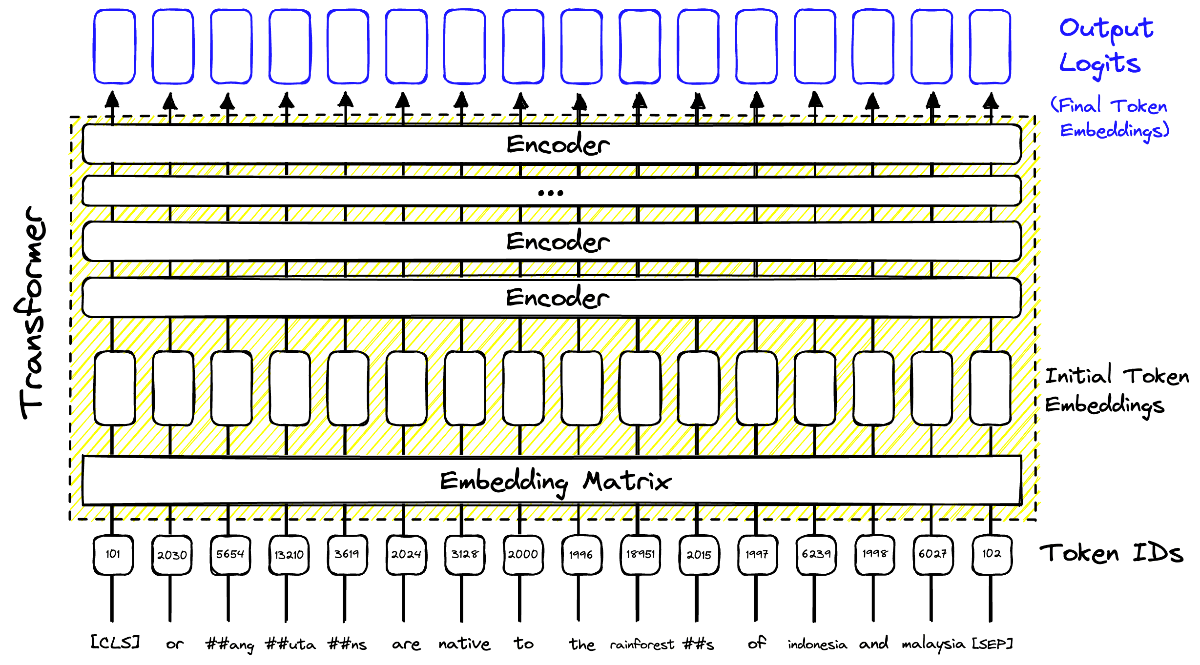 Processing the initial token embedding through several attention encoder blocks allows more contextual information to be encoded, producing information-rich embeddings.