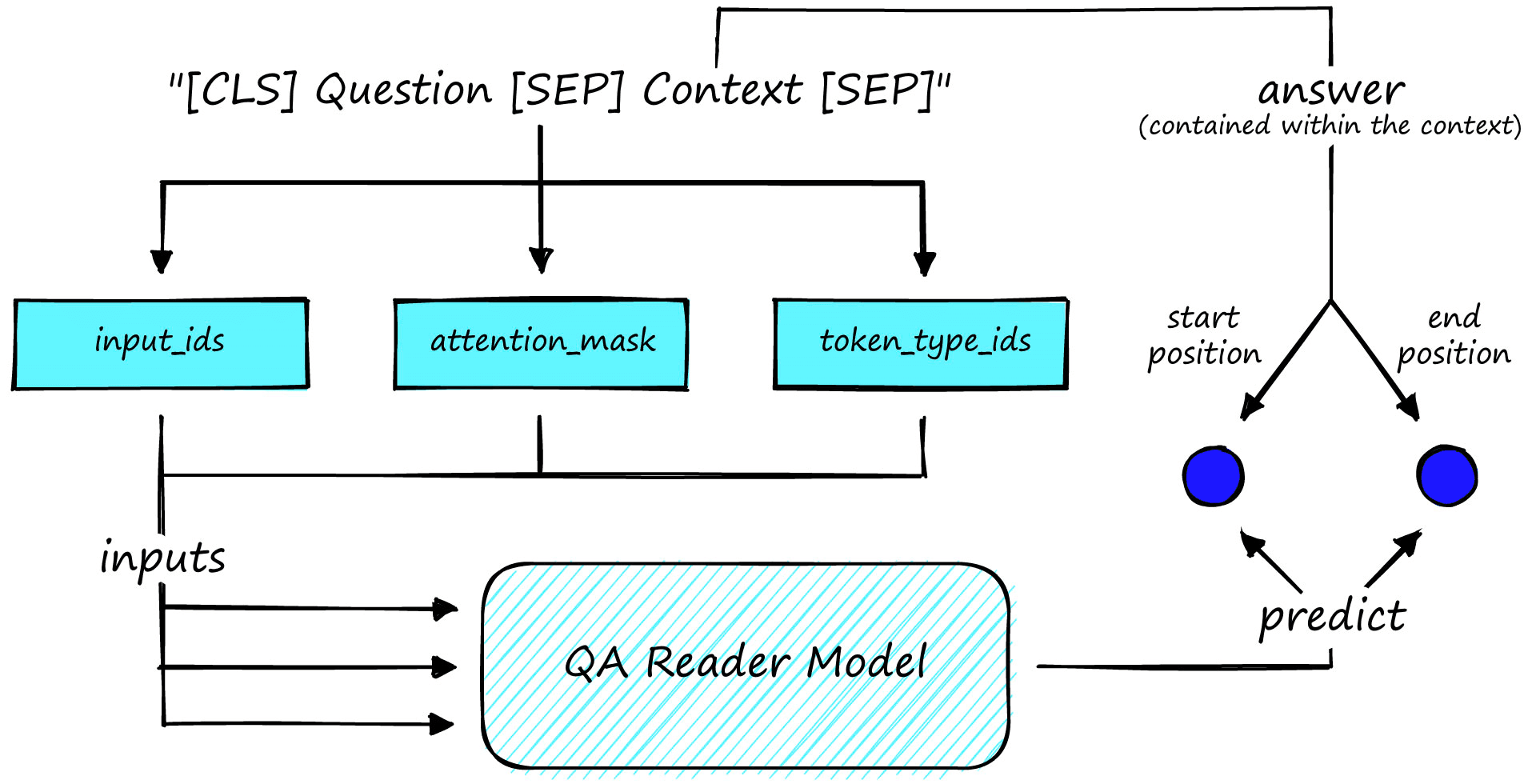 Inputs (cyan) and target labels (answer start and end positions, blue). The start and end positions are the token positions from the encoded question-context input_ids tensor that represent the start and end of the answer (extracted from the context).