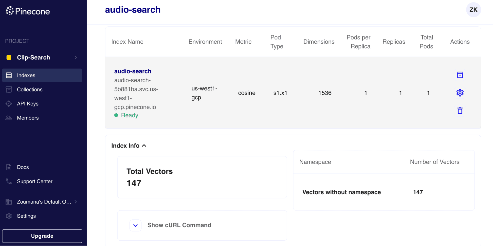 audio-search index details on Pinecone