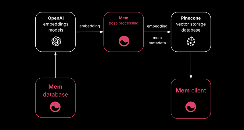 Mem X overview