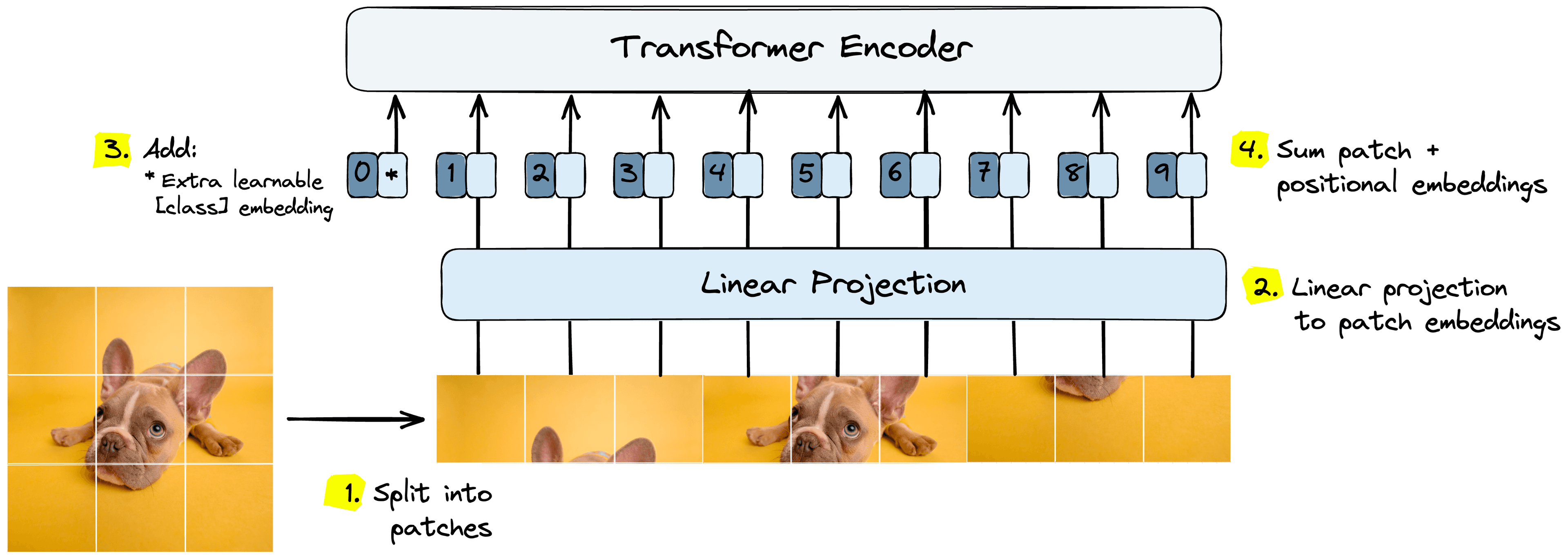 Transformer Encoder