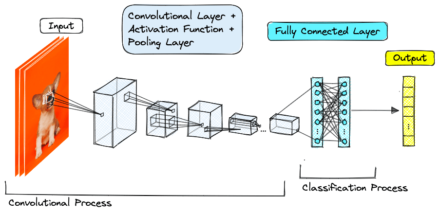 Typical architecture of a CNN.