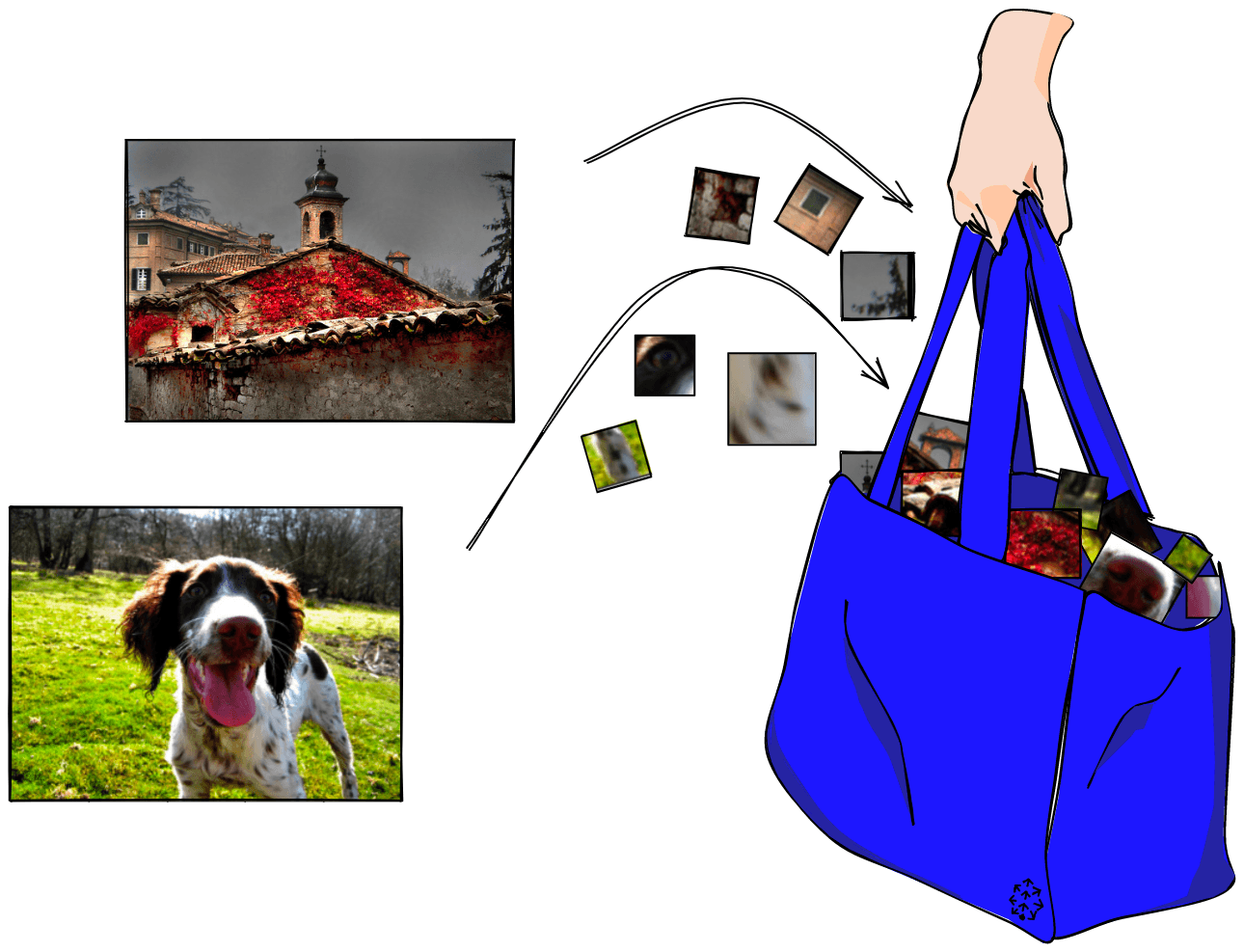 Visual feature extraction