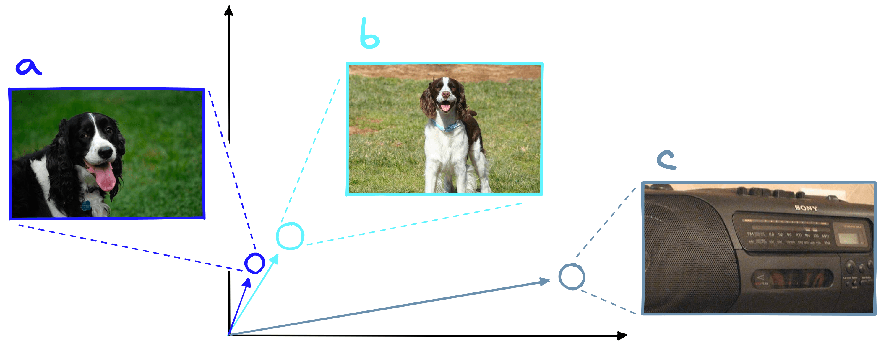No normalization image embeds