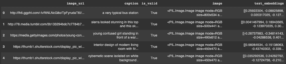 Format of the vector index containing the captions/text embeddings